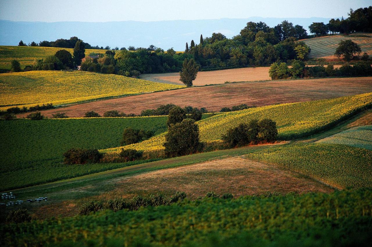 Auberge Du Poids Public Logis Hotel Saint-Félix-Lauragais 외부 사진
